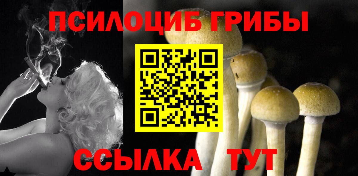 Псилоцибиновые грибы Psilocybine cubensis  Псилоцибиновые грибы Psilocybe  Норильск  Вход с VPN 