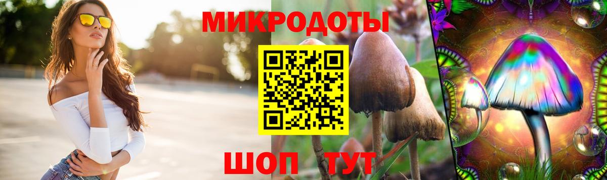 Псилоцибиновые грибы GOLDEN TEACHER Норильск